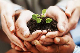 SP Capital Business Partners and Joint Venture